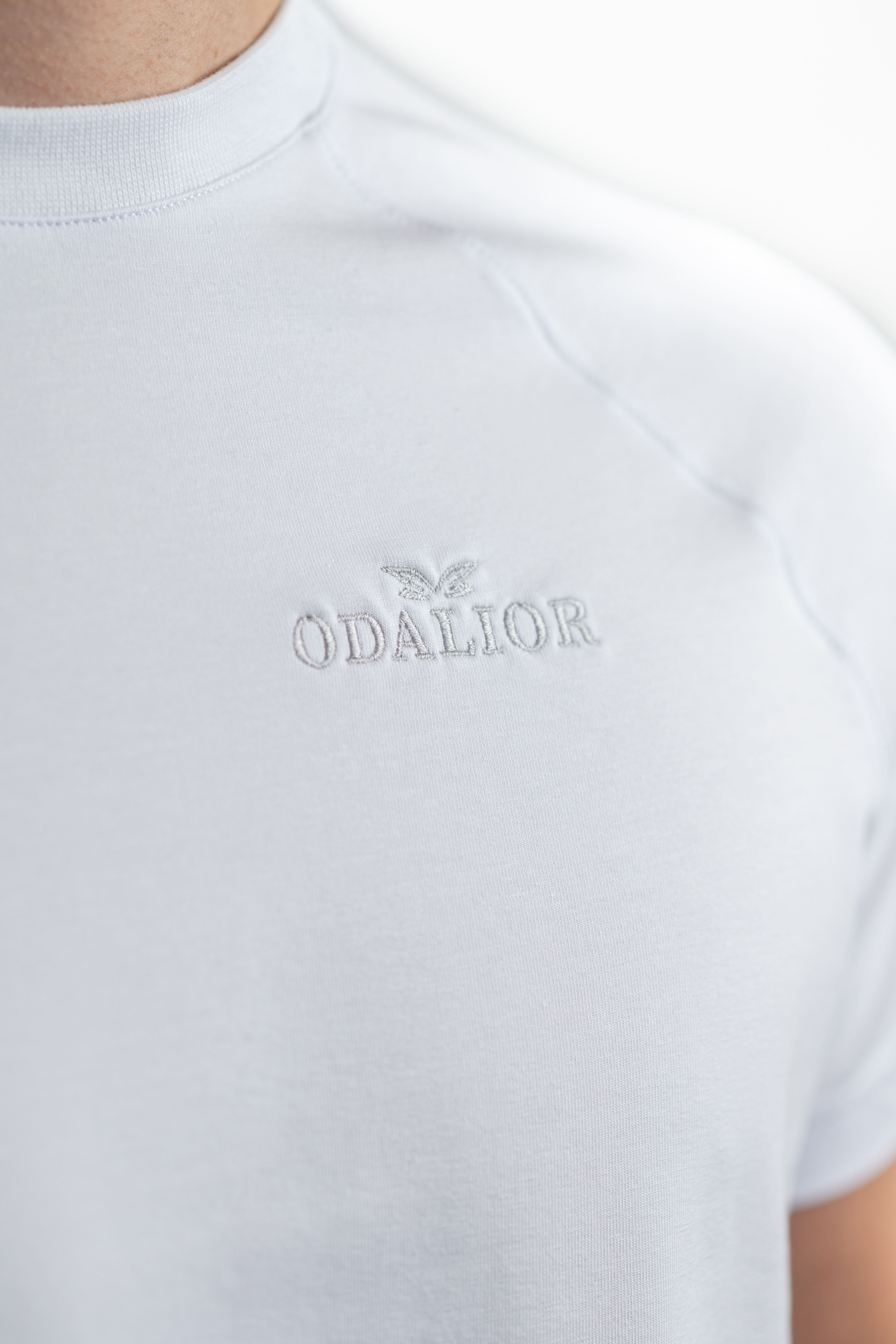 odalior longsleeve 1